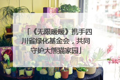 《无限暖暖》携手四川省绿化基金会，共同守护大熊猫家园