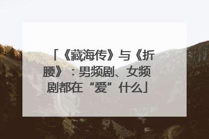 《藏海传》与《折腰》：男频剧、女频剧都在“爱”什么