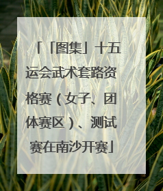 「图集」十五运会武术套路资格赛（女子、团体赛区）、测试赛在南沙开赛