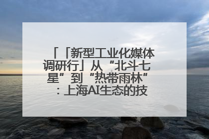 「新型工业化媒体调研行」从“北斗七星”到“热带雨林”：上海AI生态的技术商业共生密码