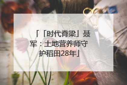 「时代脊梁」聂军：土地营养师守护稻田28年