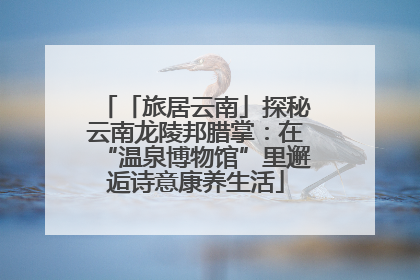 「旅居云南」探秘云南龙陵邦腊掌：在“温泉博物馆”里邂逅诗意康养生活