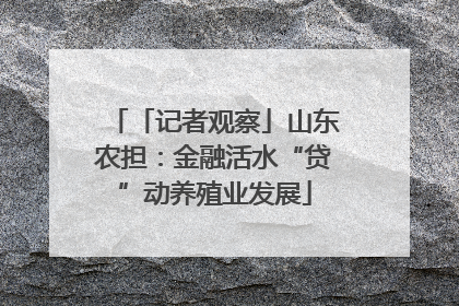 「记者观察」山东农担：金融活水“贷”动养殖业发展