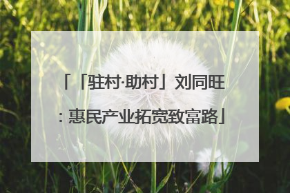 「驻村·助村」刘同旺：惠民产业拓宽致富路