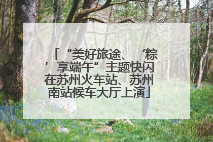 “美好旅途、‘粽’享端午”主题快闪在苏州火车站、苏州南站候车大厅上演