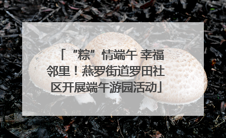 “粽”情端午 幸福邻里！燕罗街道罗田社区开展端午游园活动