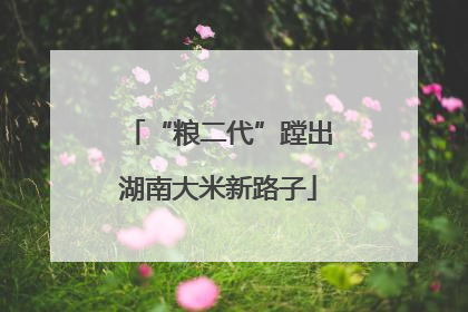 “粮二代”蹚出湖南大米新路子