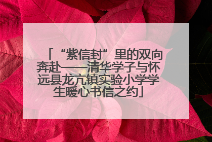 “紫信封”里的双向奔赴——清华学子与怀远县龙亢镇实验小学学生暖心书信之约