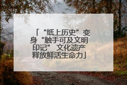 “纸上历史”变身“触手可及文明印记” 文化遗产释放鲜活生命力