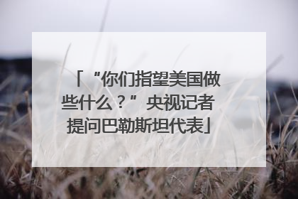 “你们指望美国做些什么？”央视记者提问巴勒斯坦代表