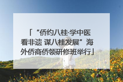 “侨约八桂·学中医 看非遗 谋八桂发展”海外侨商侨领研修班举行