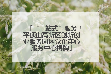“一站式”服务！平顶山高新区创新创业服务园区党企连心服务中心揭牌