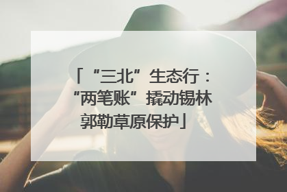 “三北”生态行：“两笔账”撬动锡林郭勒草原保护