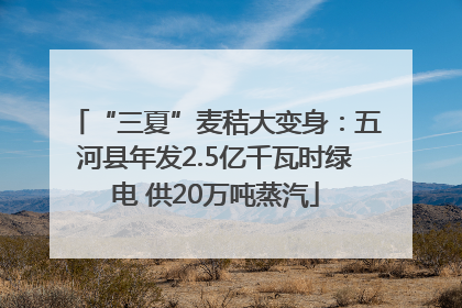 “三夏”麦秸大变身：五河县年发2.5亿千瓦时绿电 供20万吨蒸汽