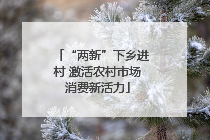 “两新”下乡进村 激活农村市场消费新活力