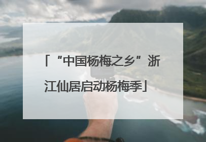“中国杨梅之乡”浙江仙居启动杨梅季