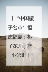 “中国栀子名市”福建福鼎：栀子花开，产业兴旺