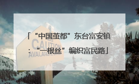 “中国茧都”东台富安镇：“一根丝”编织富民路