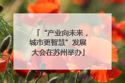 “产业向未来，城市更智慧”发展大会在苏州举办