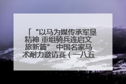 “以马为媒传承军垦精神 重组骑兵连启文旅新篇” 中国名家马术耐力邀请赛（一八五团站）暨重启骑兵连活动正式启动
