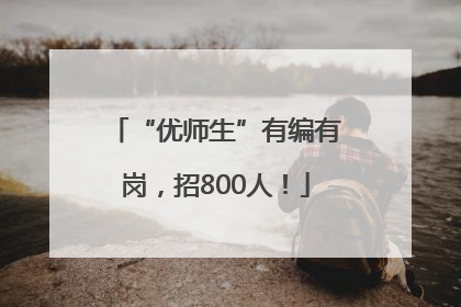 “优师生”有编有岗，招800人！