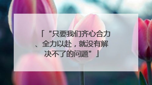 “只要我们齐心合力、全力以赴，就没有解决不了的问题”