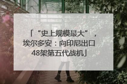 “史上规模最大”，埃尔多安：向印尼出口48架第五代战机