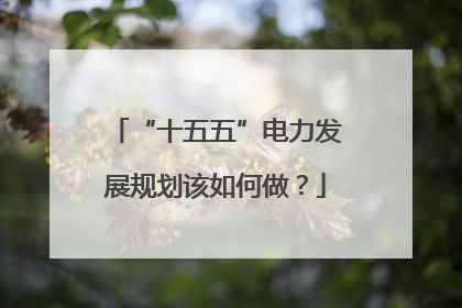 “十五五”电力发展规划该如何做？