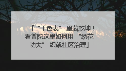 “十色表” 里藏乾坤！看普陀这里如何用 “绣花功夫” 织就社区治理