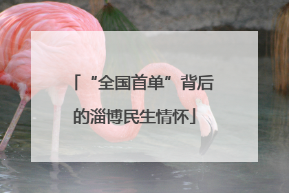 “全国首单”背后的淄博民生情怀