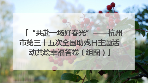 “共赴一场好春光”——杭州市第三十五次全国助残日主题活动共绘幸福答卷（组图）