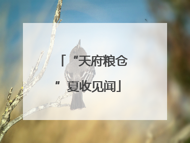 “天府粮仓”夏收见闻