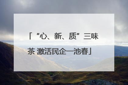 “心、新、质”三味茶 激活民企一池春