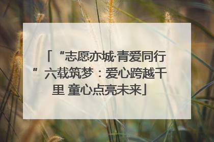 “志愿亦城·青爱同行”六载筑梦：爱心跨越千里 童心点亮未来