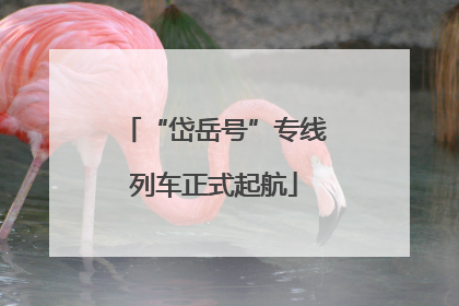 “岱岳号”专线列车正式起航