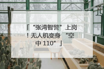 “张湾智警”上岗！无人机变身 “空中 110”