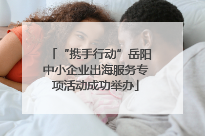 “携手行动”岳阳中小企业出海服务专项活动成功举办