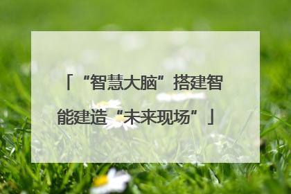 “智慧大脑”搭建智能建造“未来现场”