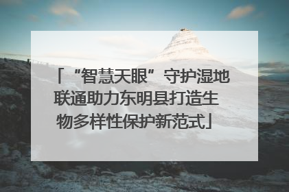 “智慧天眼”守护湿地 联通助力东明县打造生物多样性保护新范式