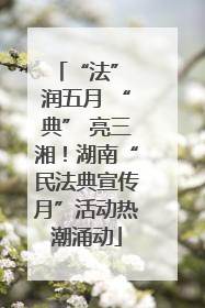 “法” 润五月 “典” 亮三湘！湖南“民法典宣传月”活动热潮涌动