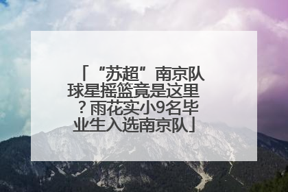“苏超”南京队球星摇篮竟是这里？雨花实小9名毕业生入选南京队