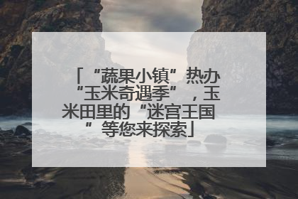 “蔬果小镇”热办“玉米奇遇季”，玉米田里的“迷宫王国”等您来探索