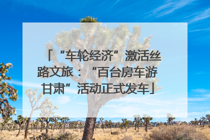 “车轮经济”激活丝路文旅:“百台房车游甘肃”活动正式发车