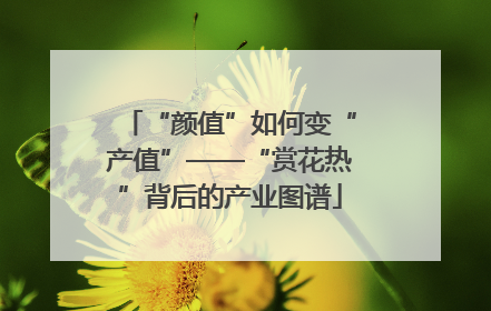 “颜值”如何变“产值”——“赏花热”背后的产业图谱