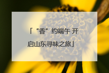 “香”约端午 开启山东寻味之旅