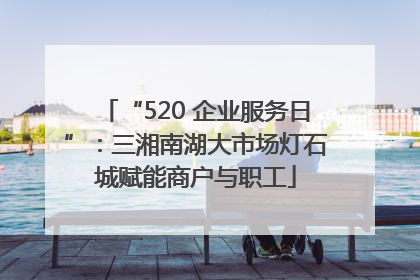 “520 企业服务日”：三湘南湖大市场灯石城赋能商户与职工