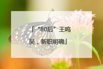 “80后”王鸣昊，新职明确