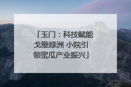 玉门：科技赋能戈壁绿洲 小院引领蜜瓜产业振兴