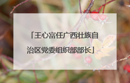 王心富任广西壮族自治区党委组织部部长