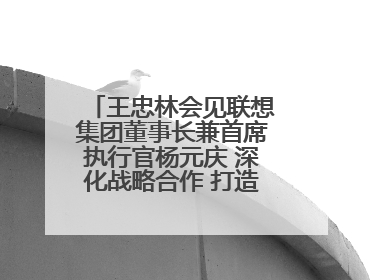 王忠林会见联想集团董事长兼首席执行官杨元庆 深化战略合作 打造世界级光电子信息产业集群